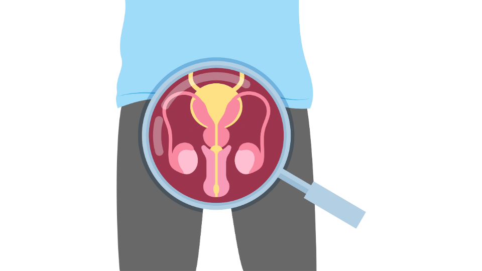 Бразилиялық порно оргиялар